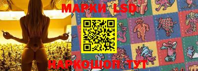 индика Обь