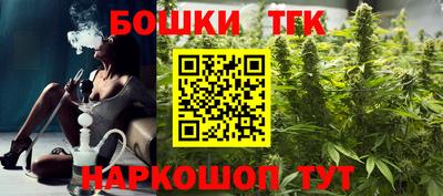 индика Обь