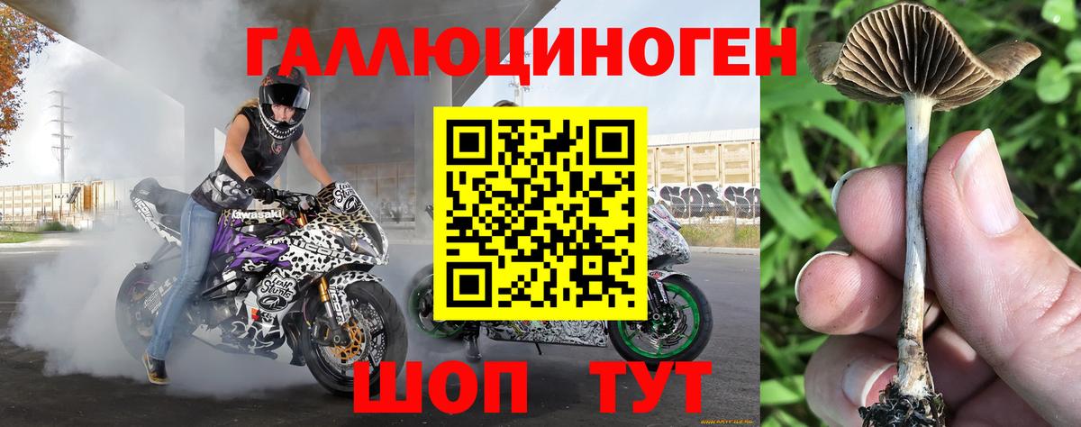 Галлюциногенные грибы ЛСД  Вход с VPN  Семёнов  Галлюциногенные грибы MAGIC MUSHROOMS 